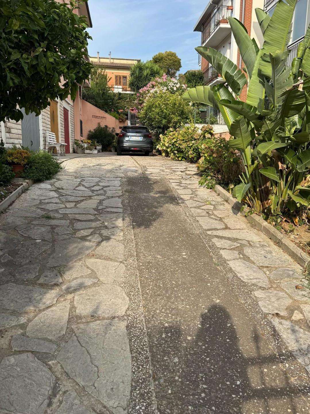  - foto 42