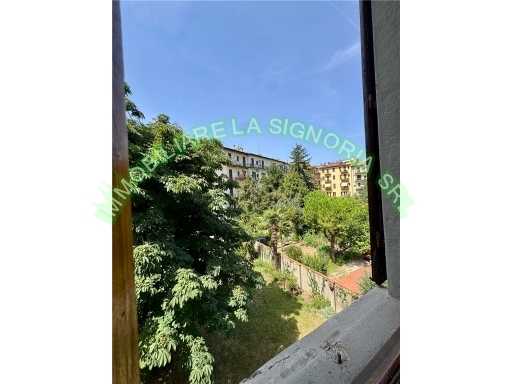  - foto 19