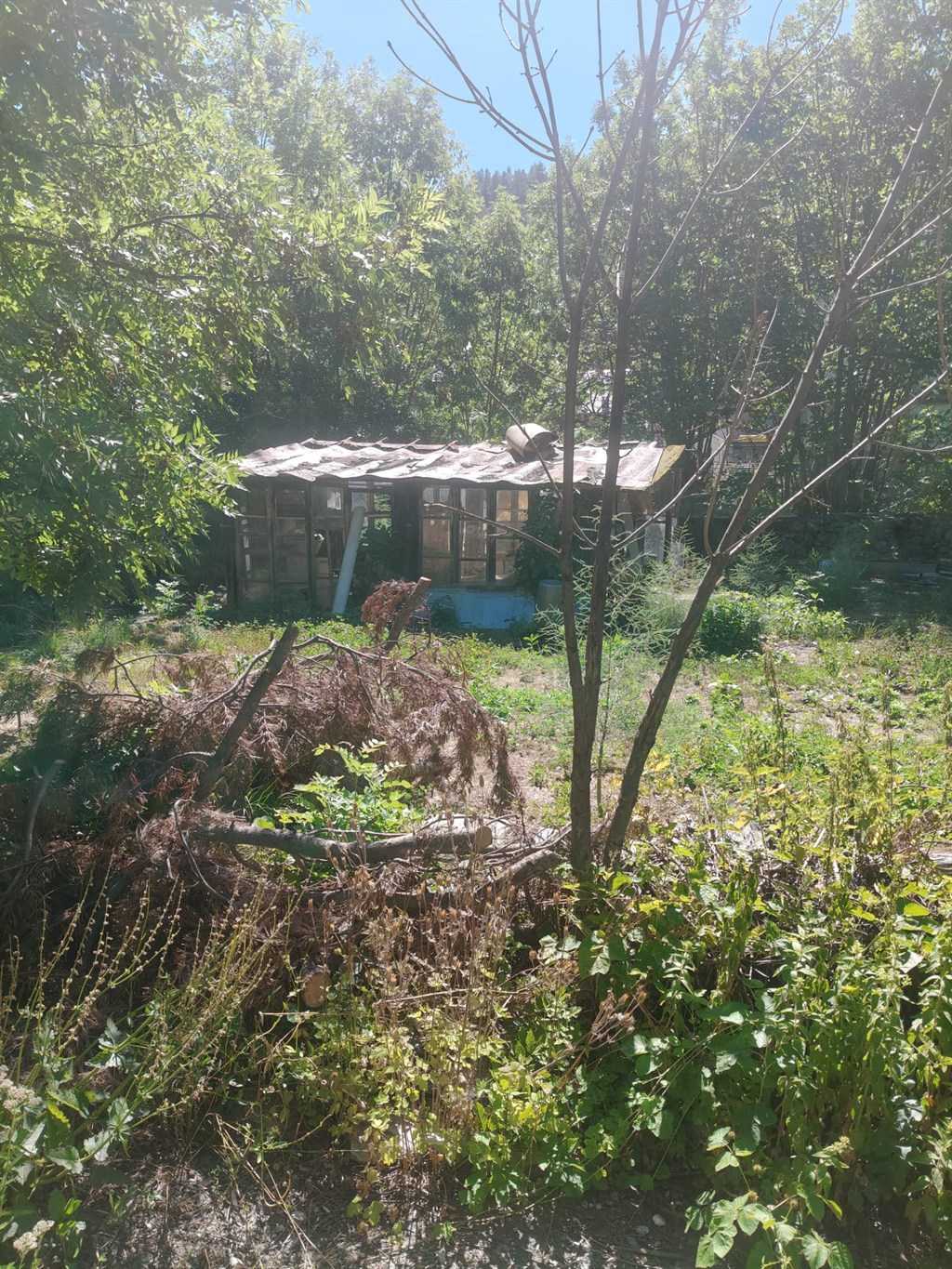  - foto 3