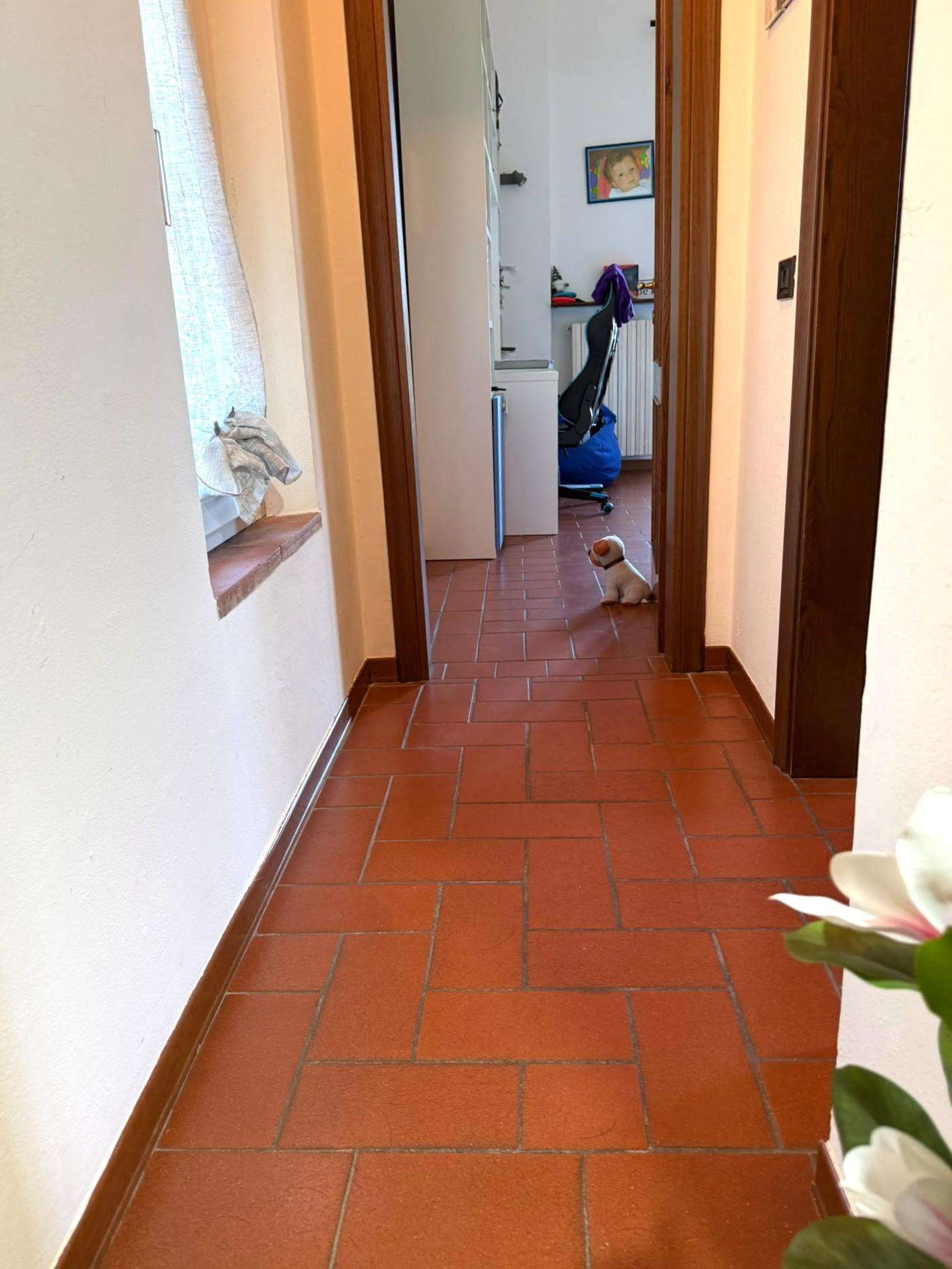  - foto 23