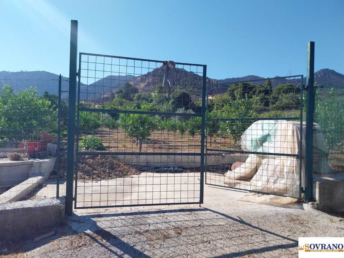 Terreno agricolo Via Crimi, Palermo