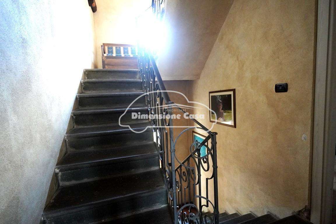  - foto 19