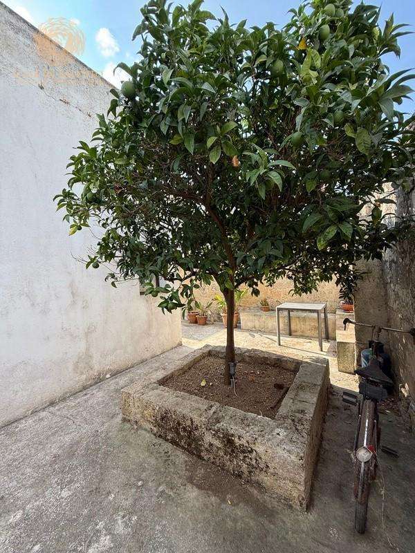  - foto 20