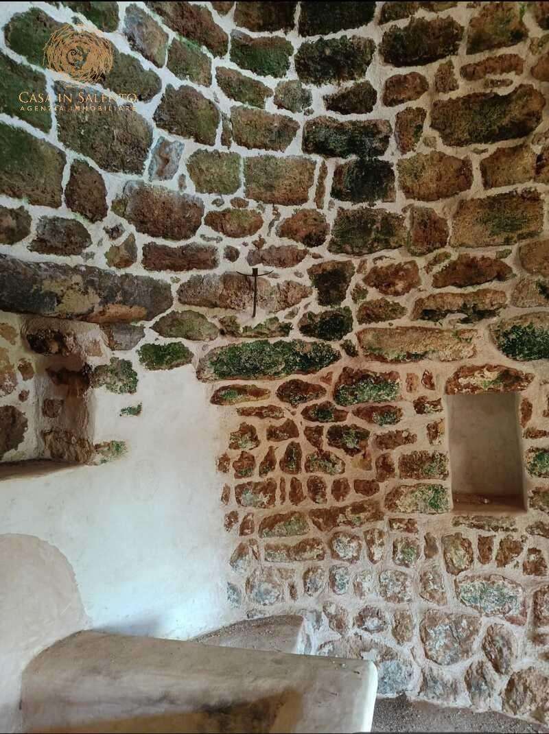  - foto 11