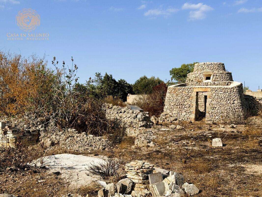  - foto 32