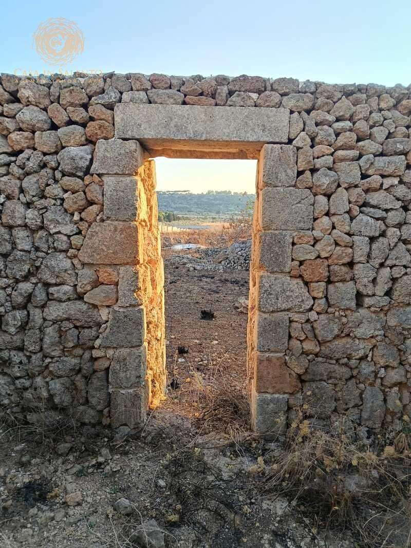  - foto 8
