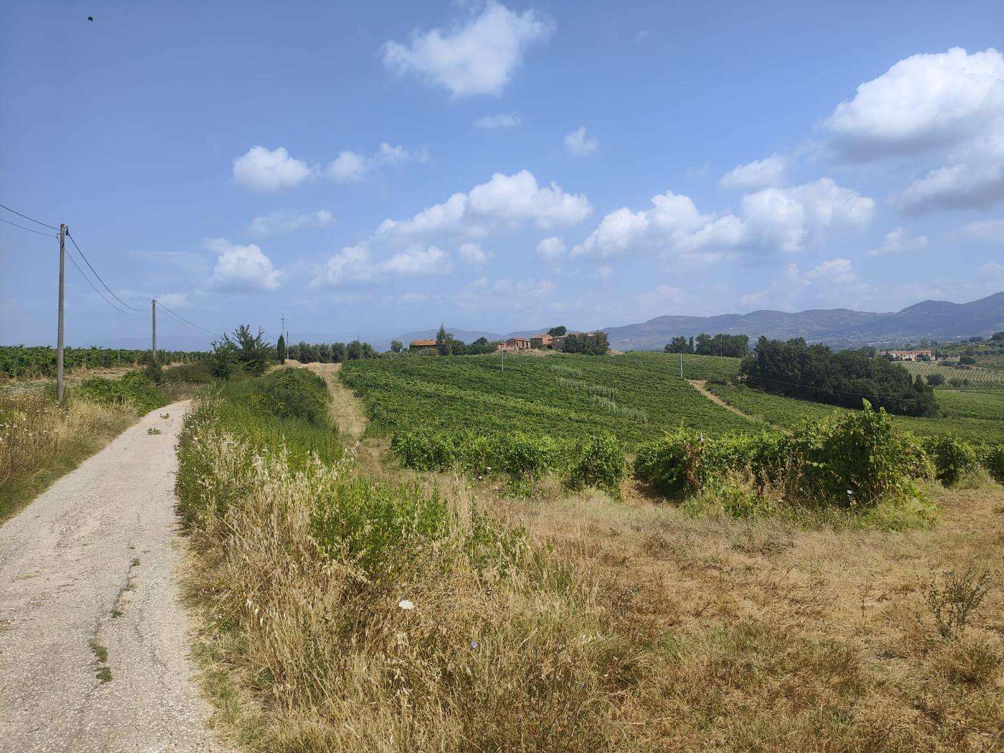  - foto 13