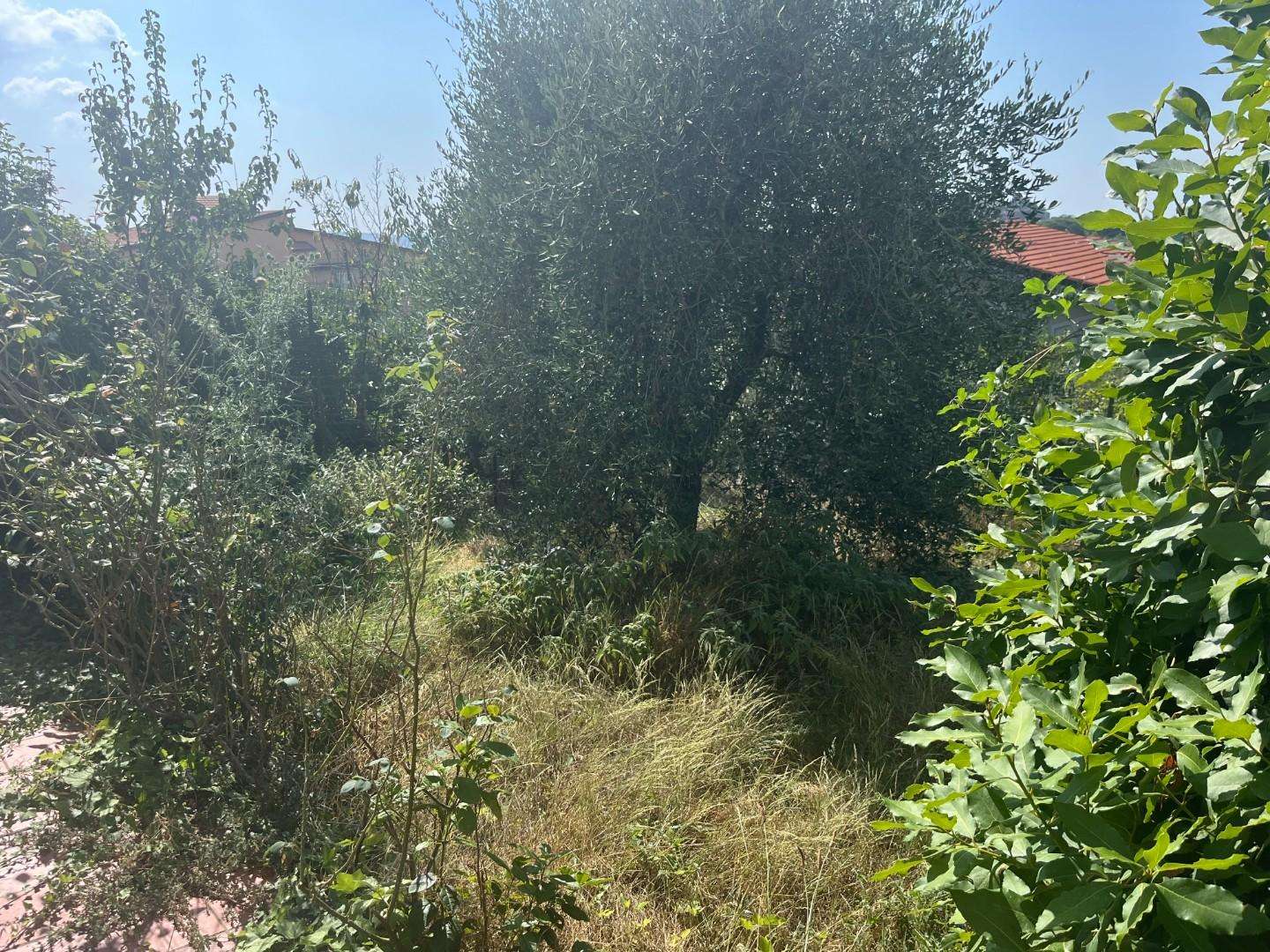  - foto 18