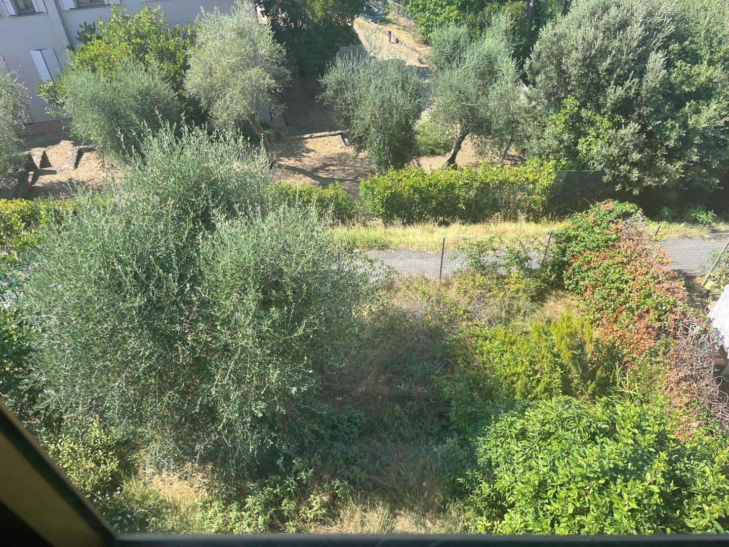  - foto 8