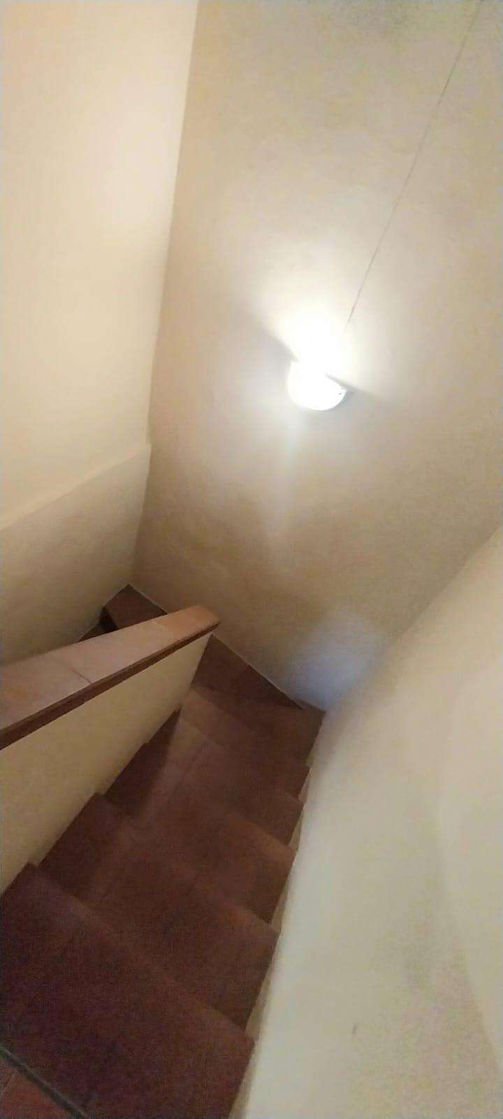  - foto 27