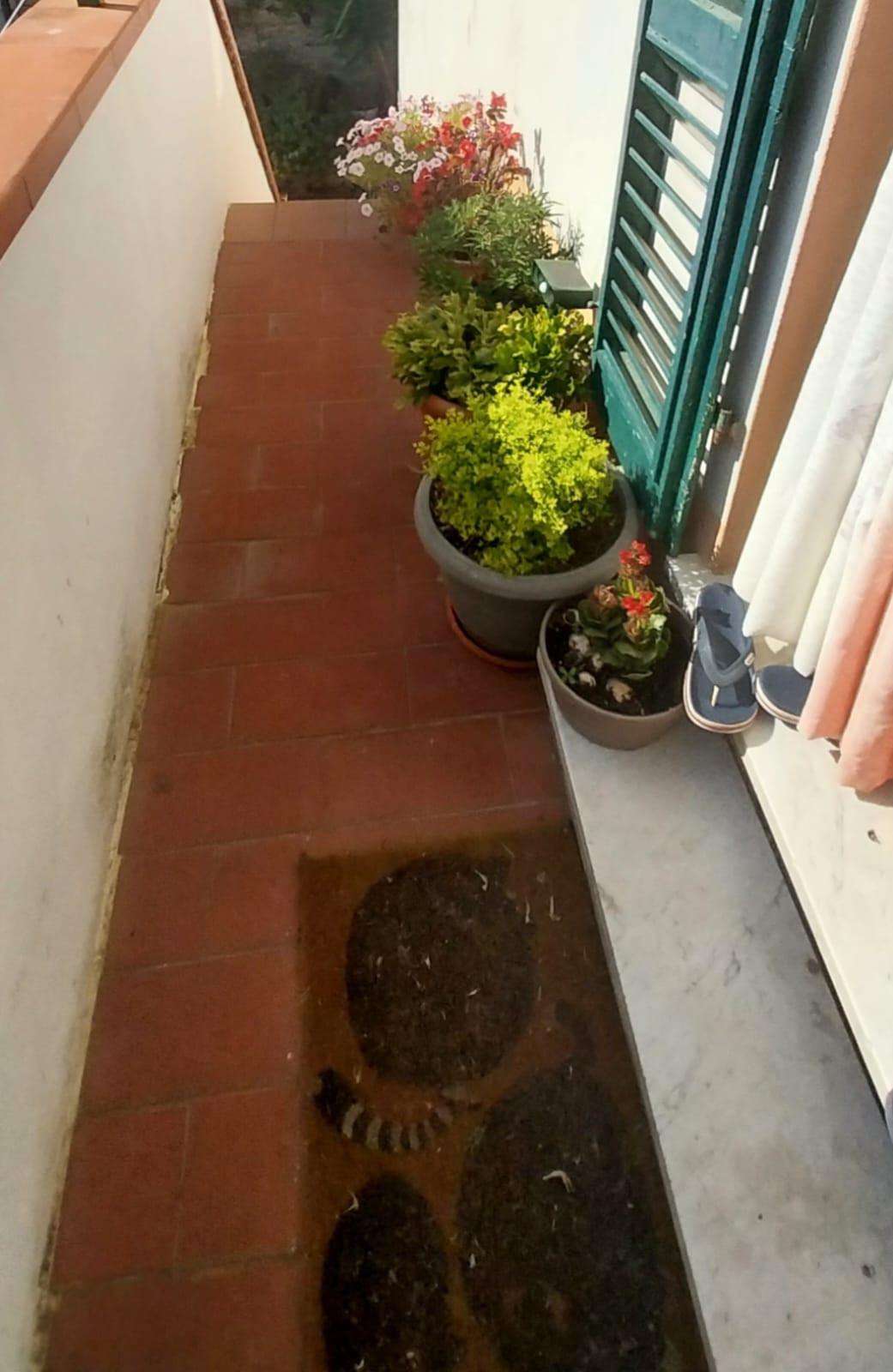  - foto 7