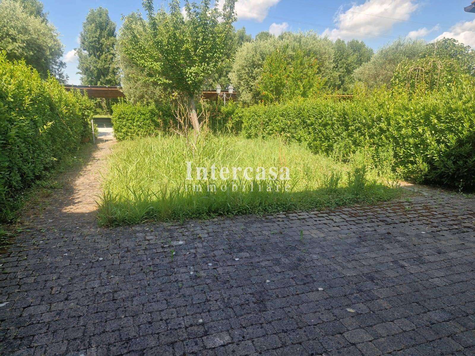  - foto 18
