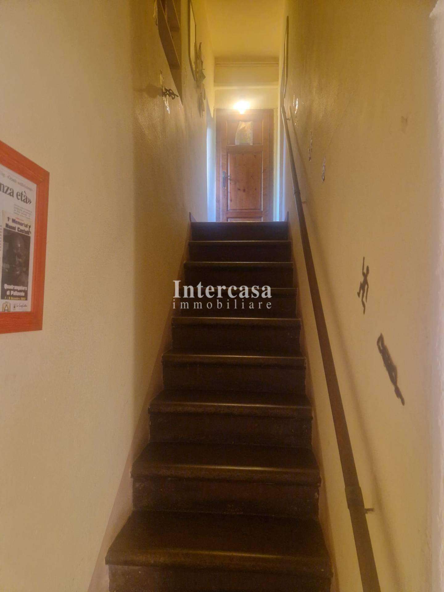  - foto 13