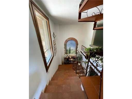  - foto 29