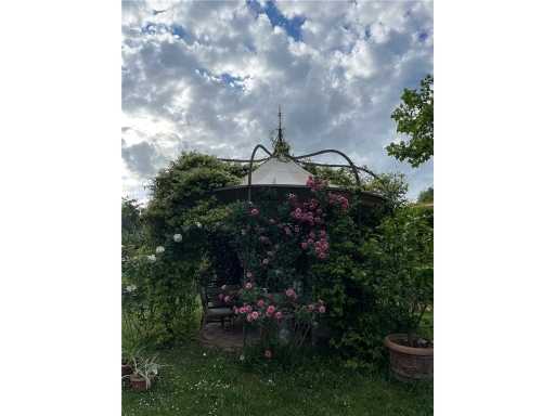  - foto 61