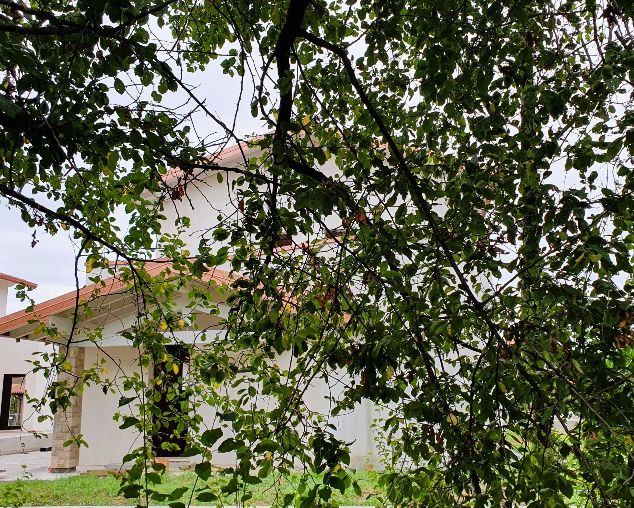 Appartamento MONTE NETTO, Poncarale