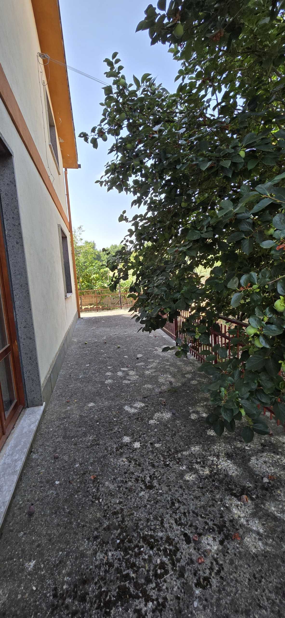  - foto 18