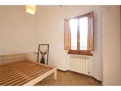  - foto 19