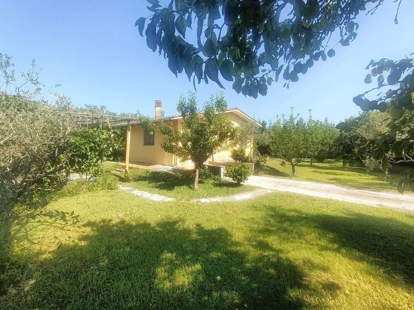 Terreno agricolo Via Fivizzano,  13, Carrara