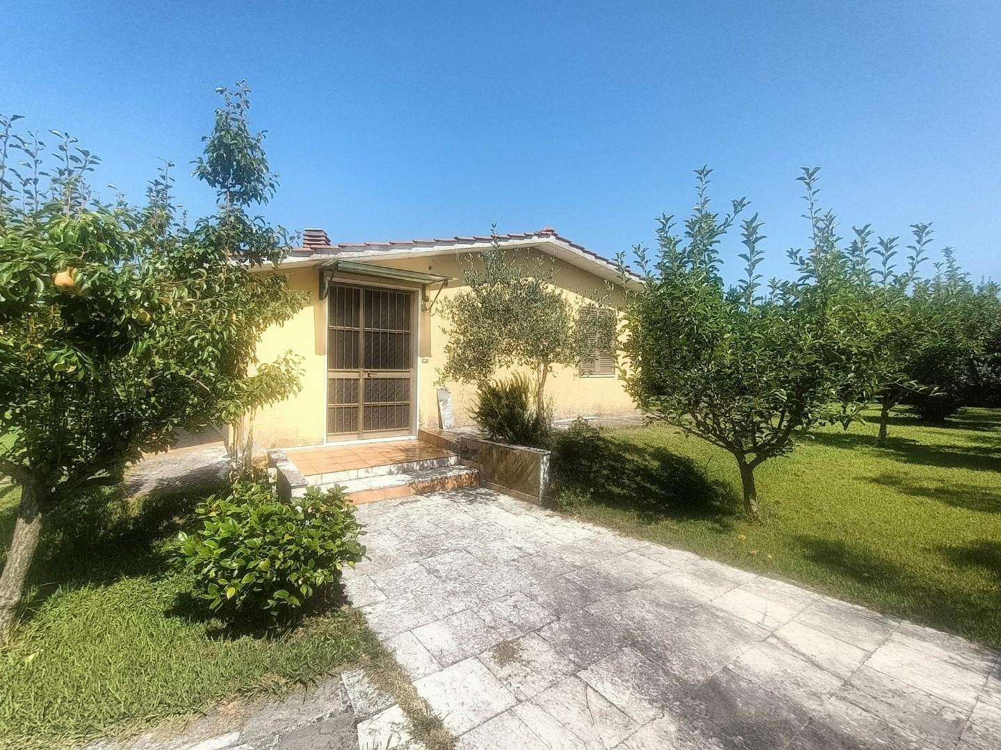  - foto 2
