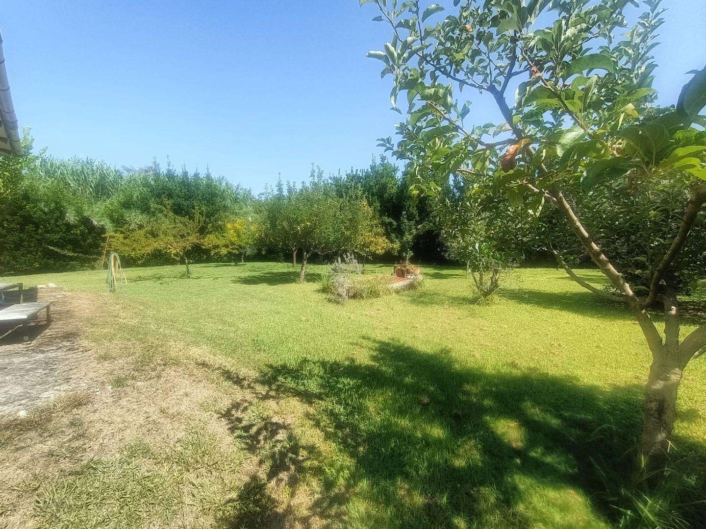  - foto 7