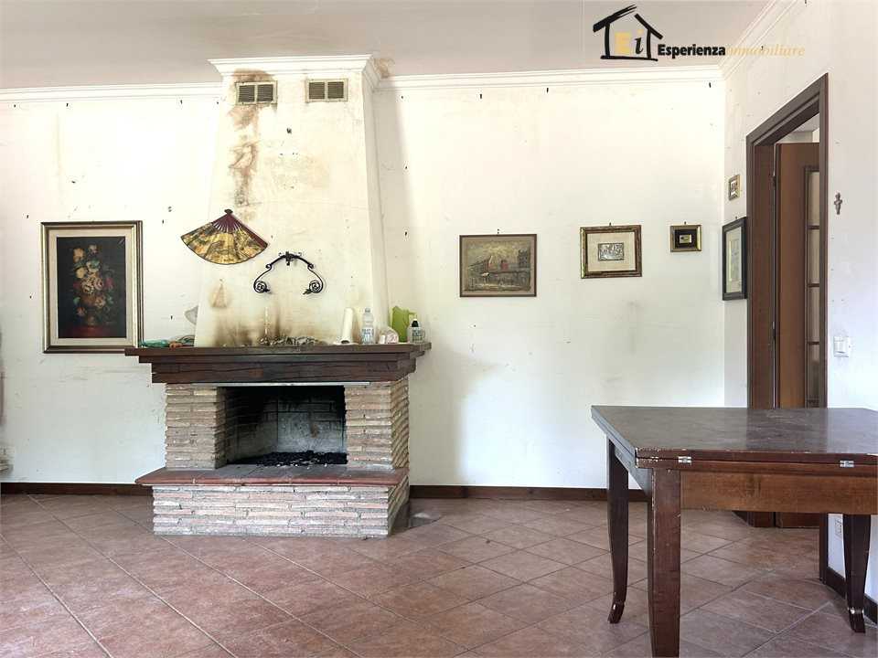  - foto 4
