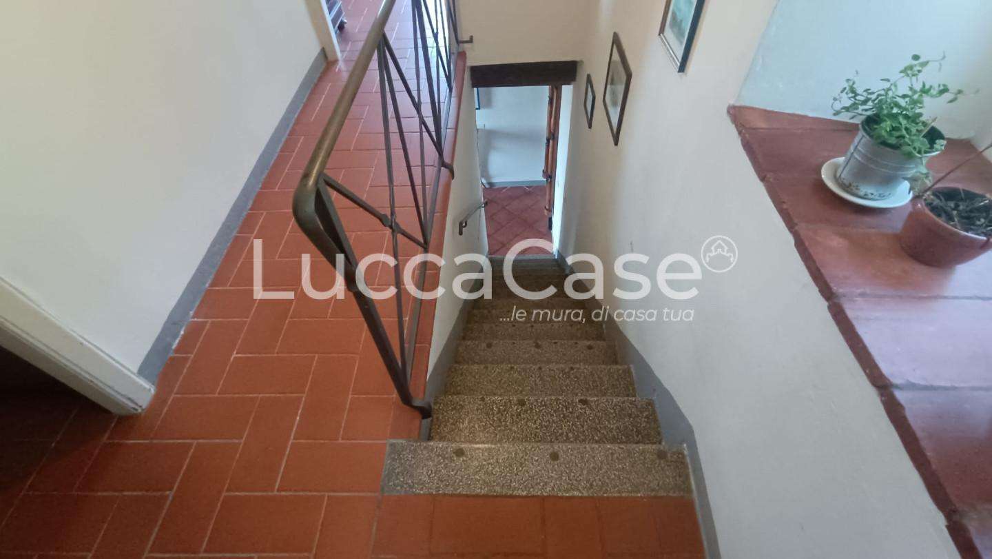  - foto 39
