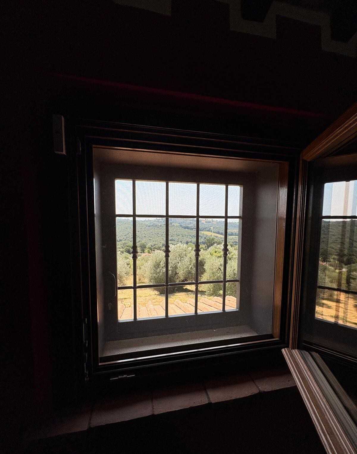  - foto 23
