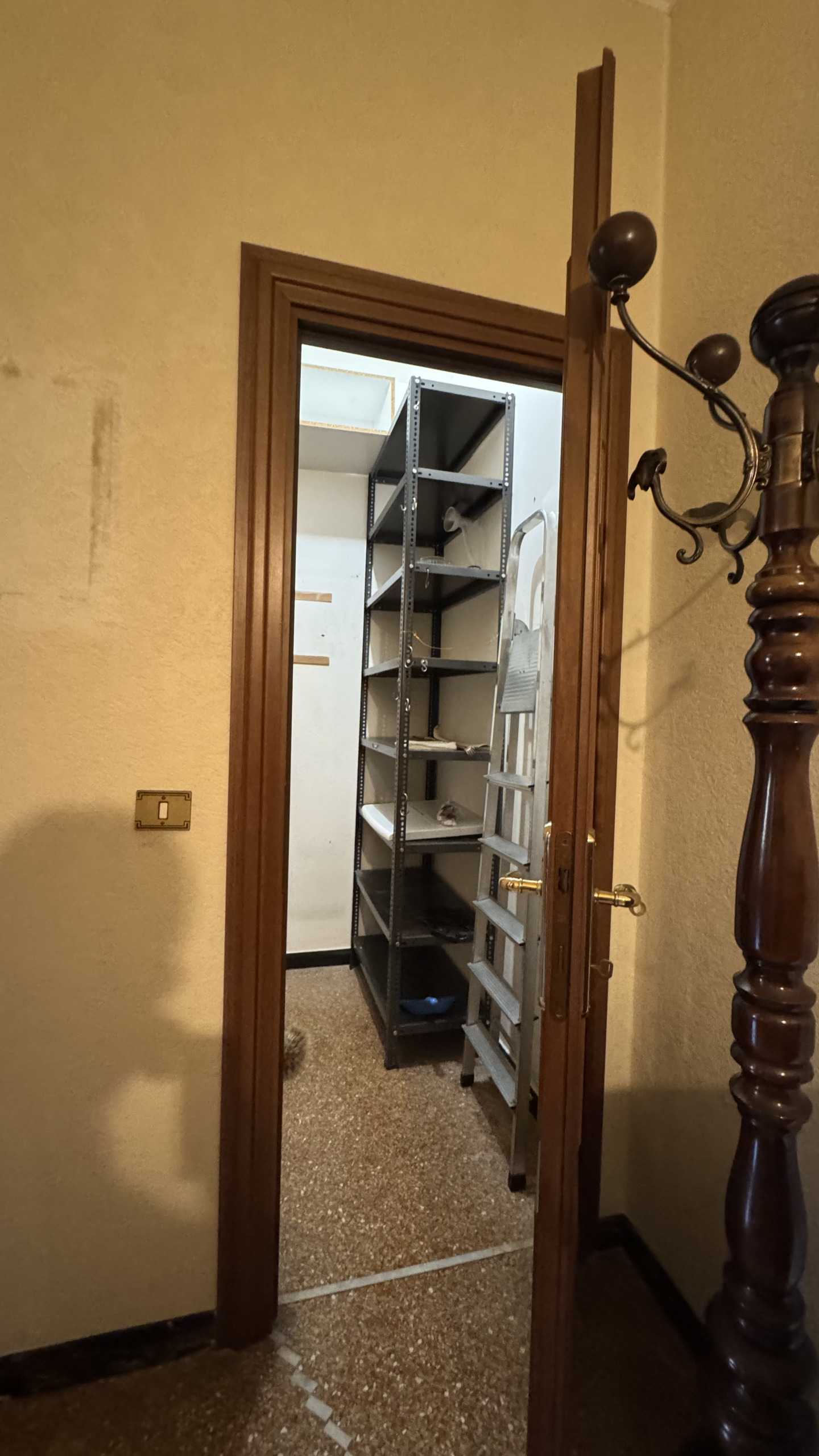  - foto 15