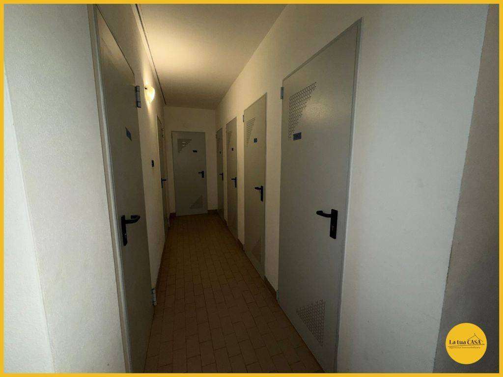  - foto 81