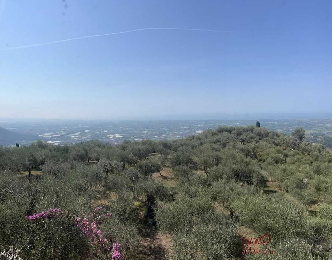  - foto 4