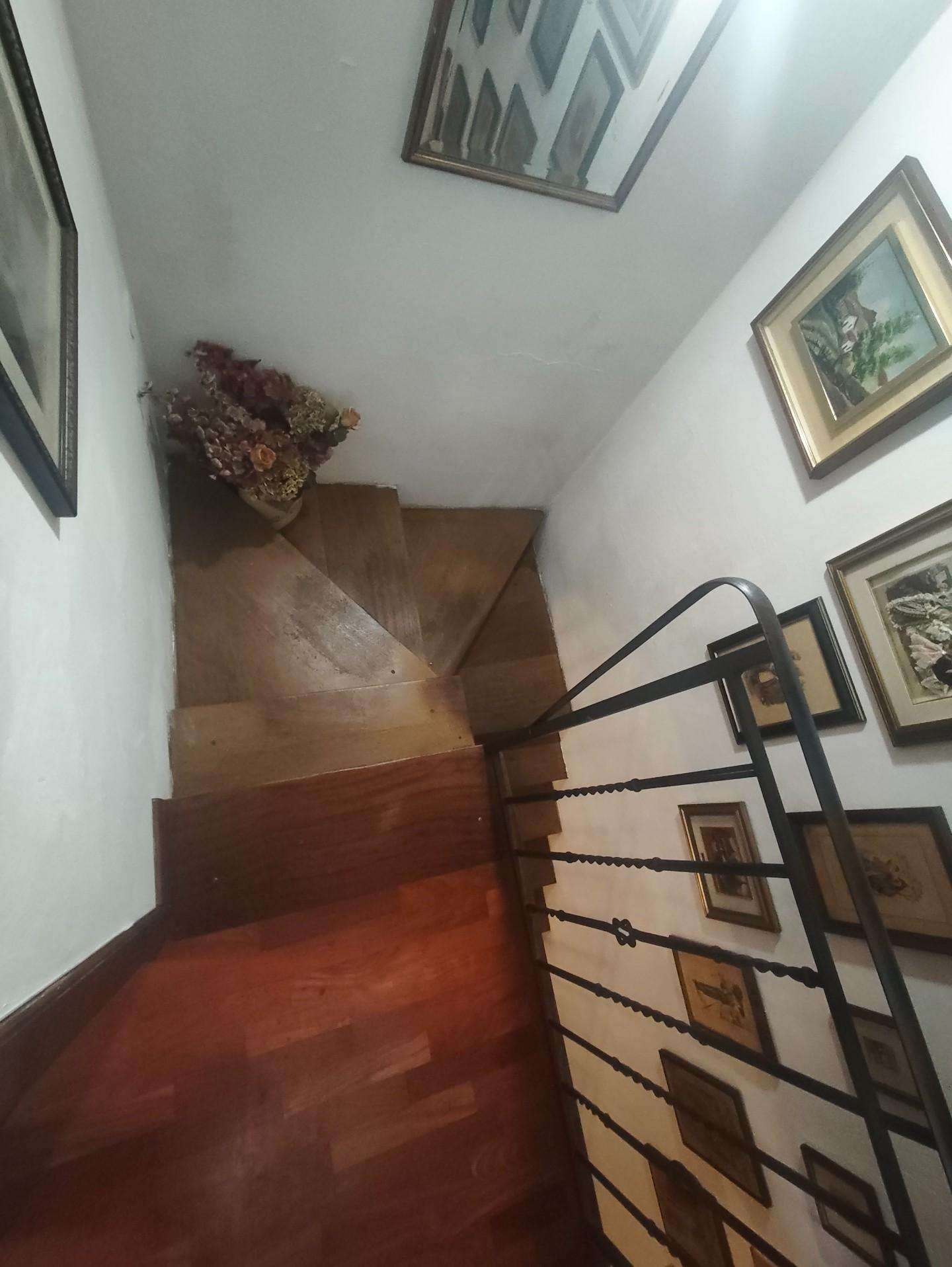  - foto 30