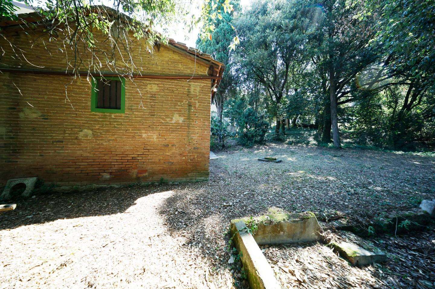 - foto 15