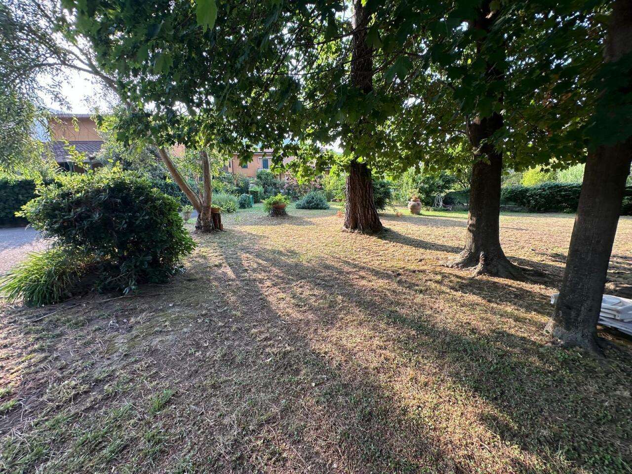  - foto 23