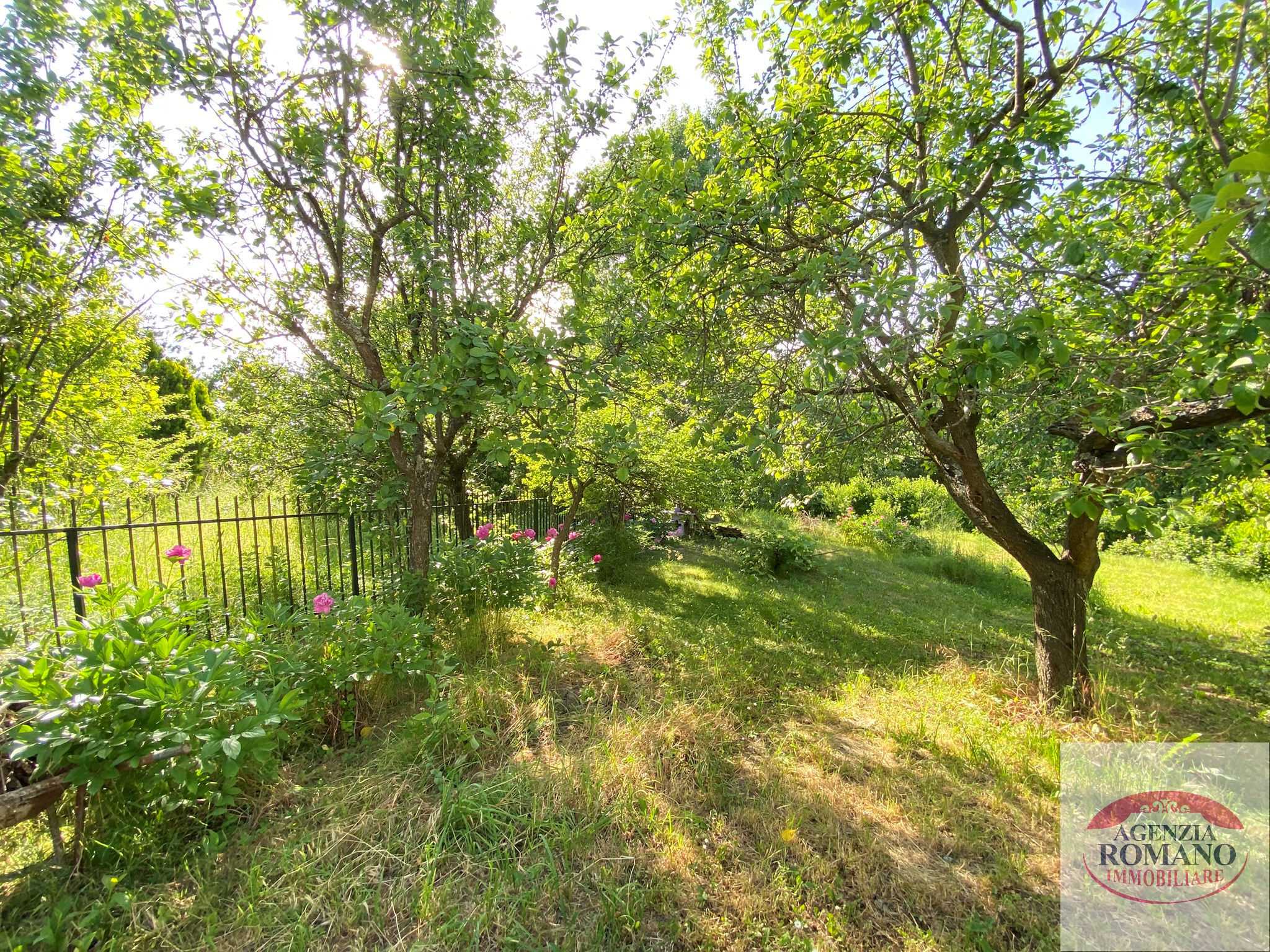  - foto 13