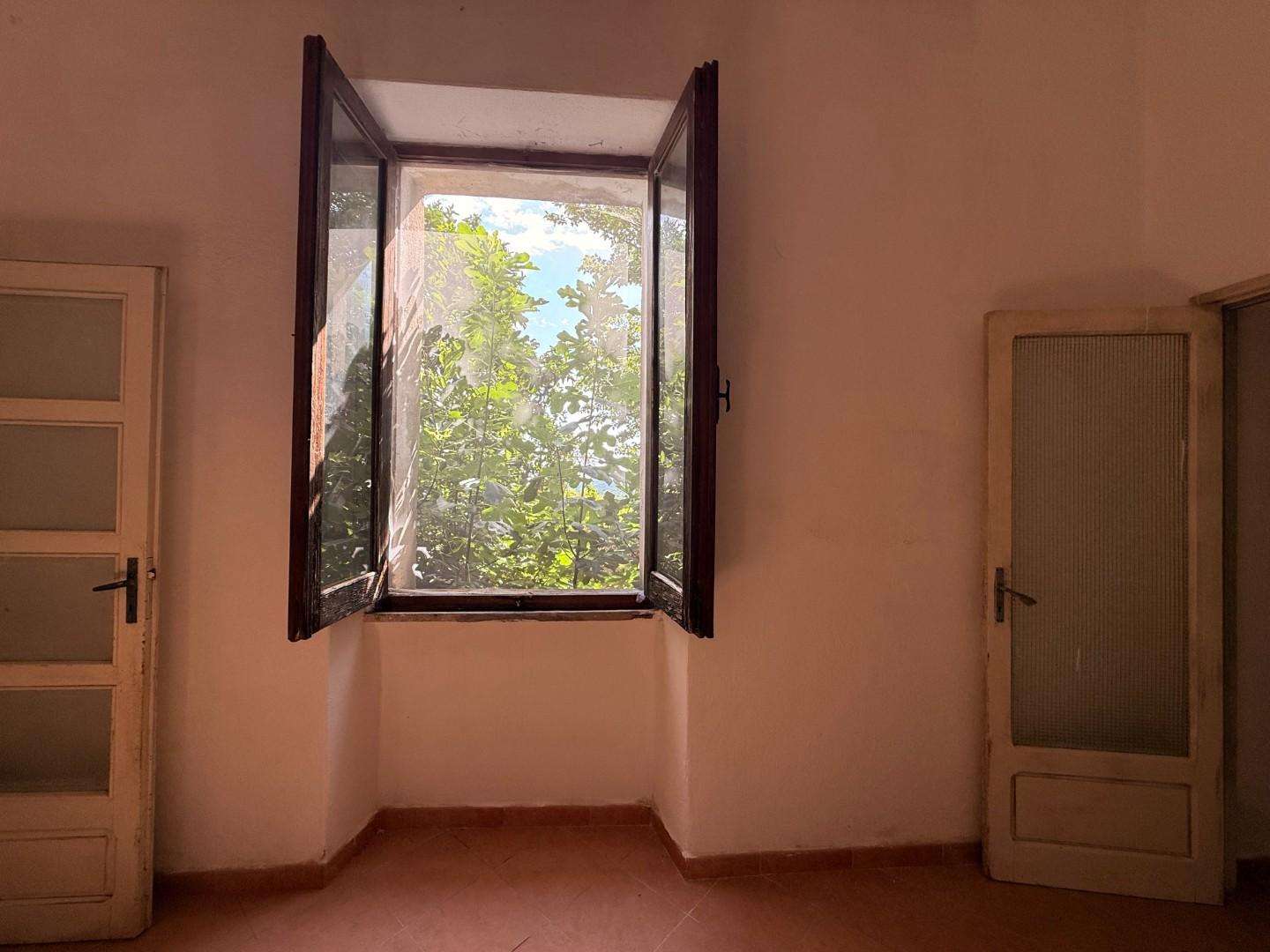  - foto 36