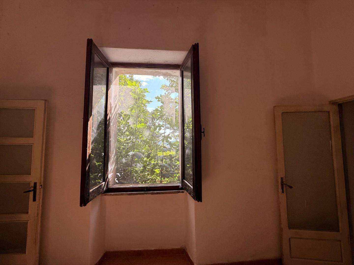  - foto 43
