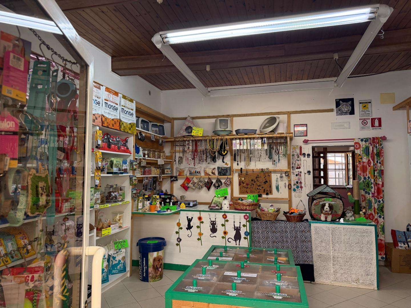  - foto 3