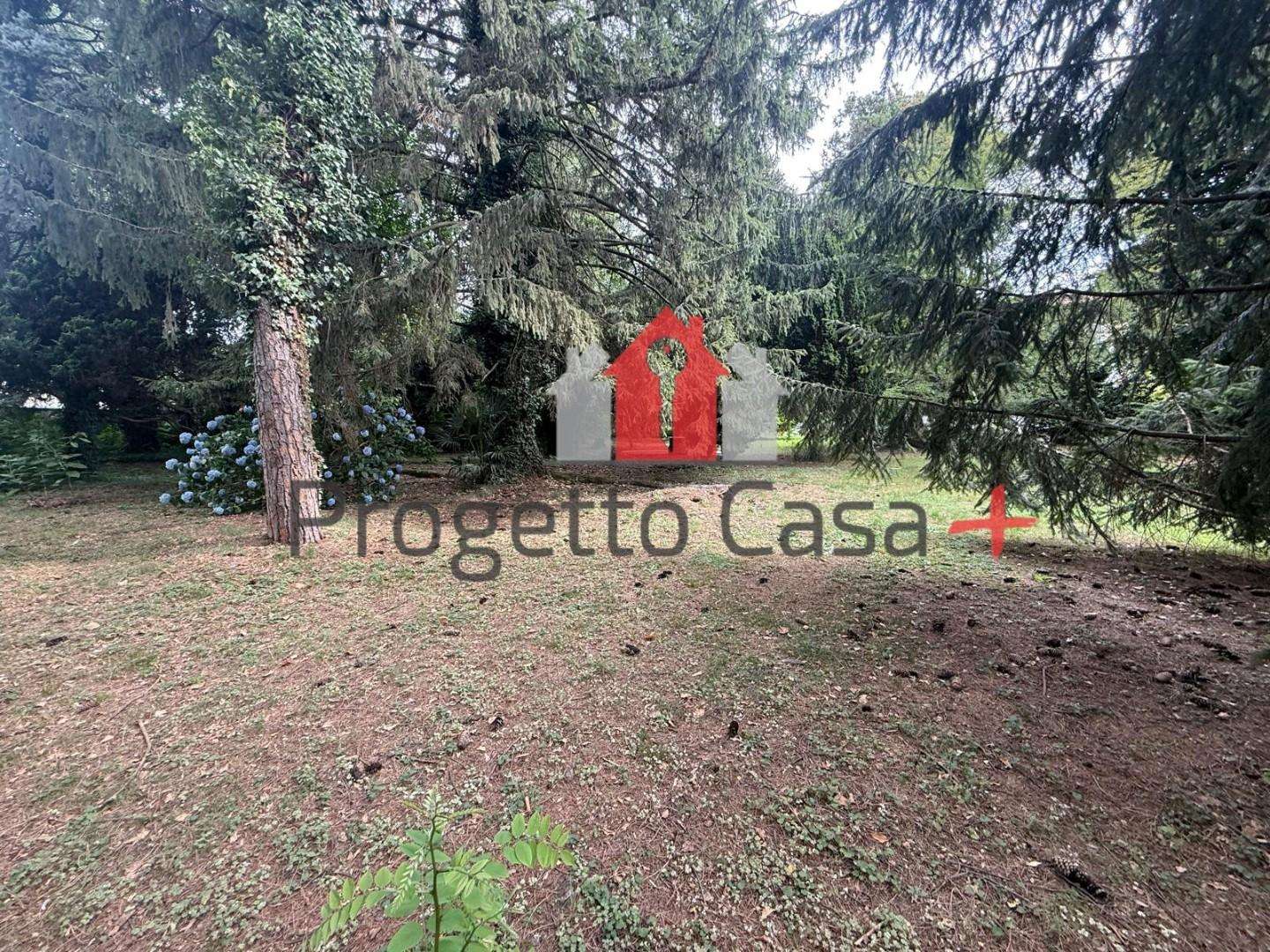  - foto 8