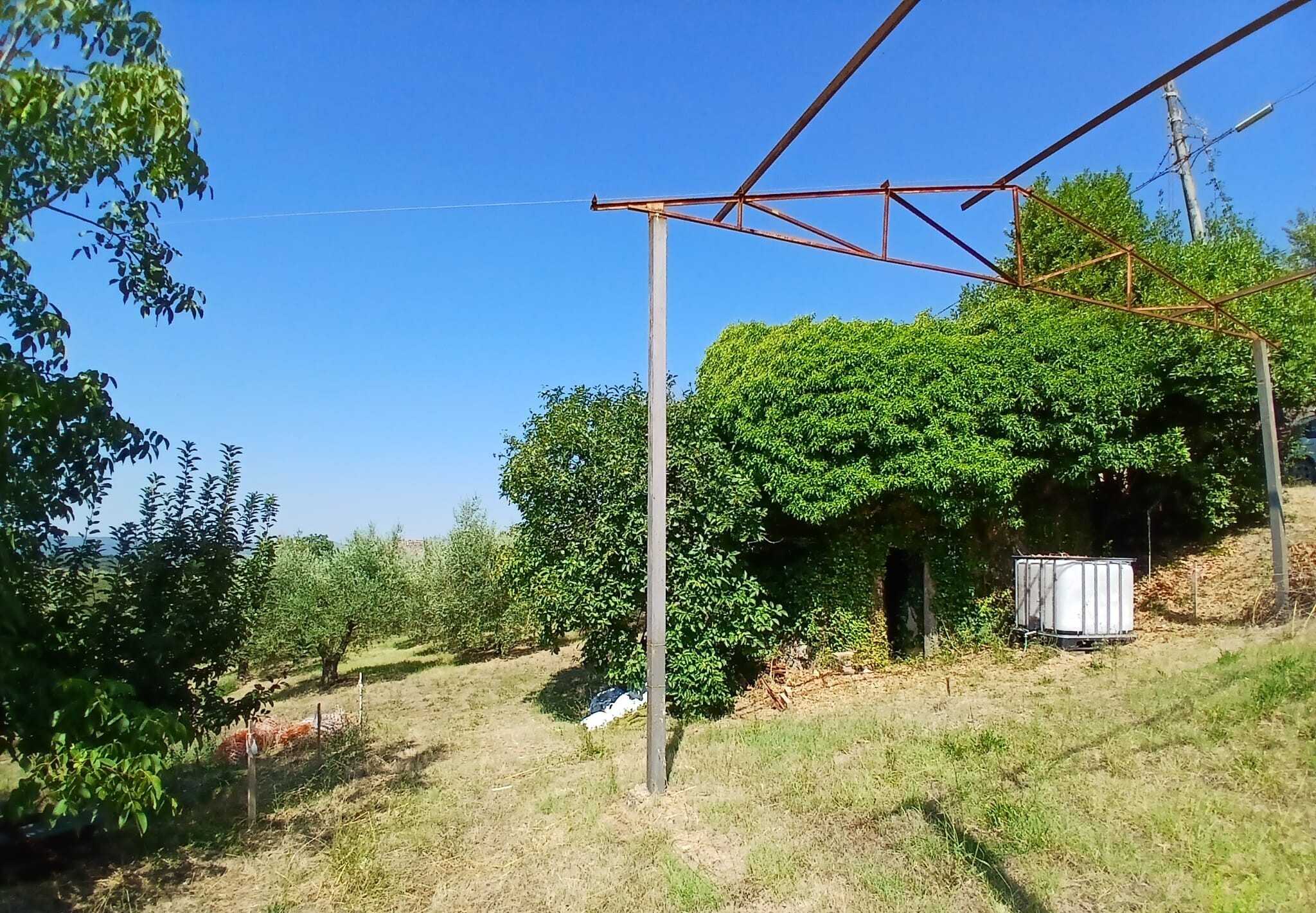  - foto 12