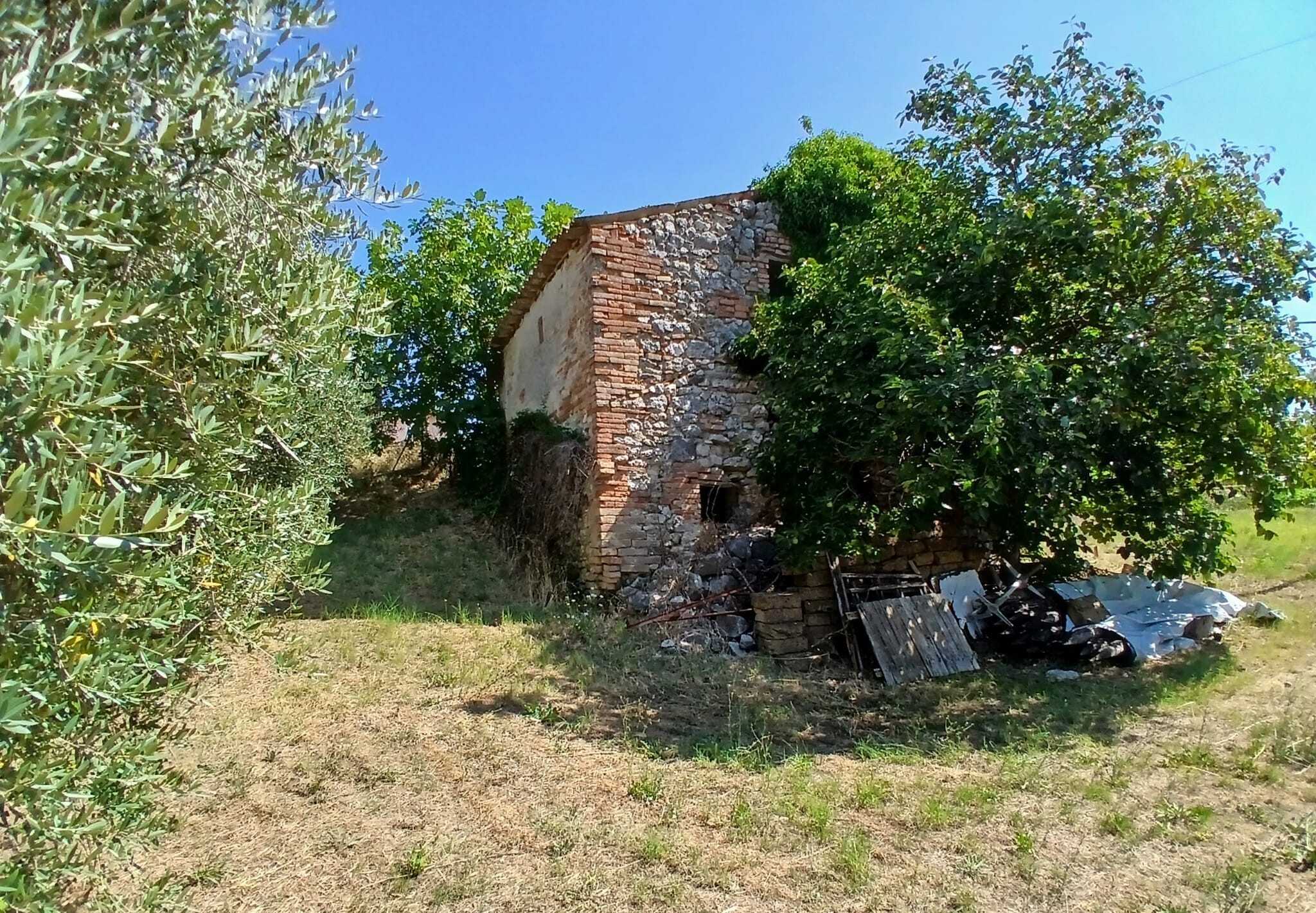  - foto 13