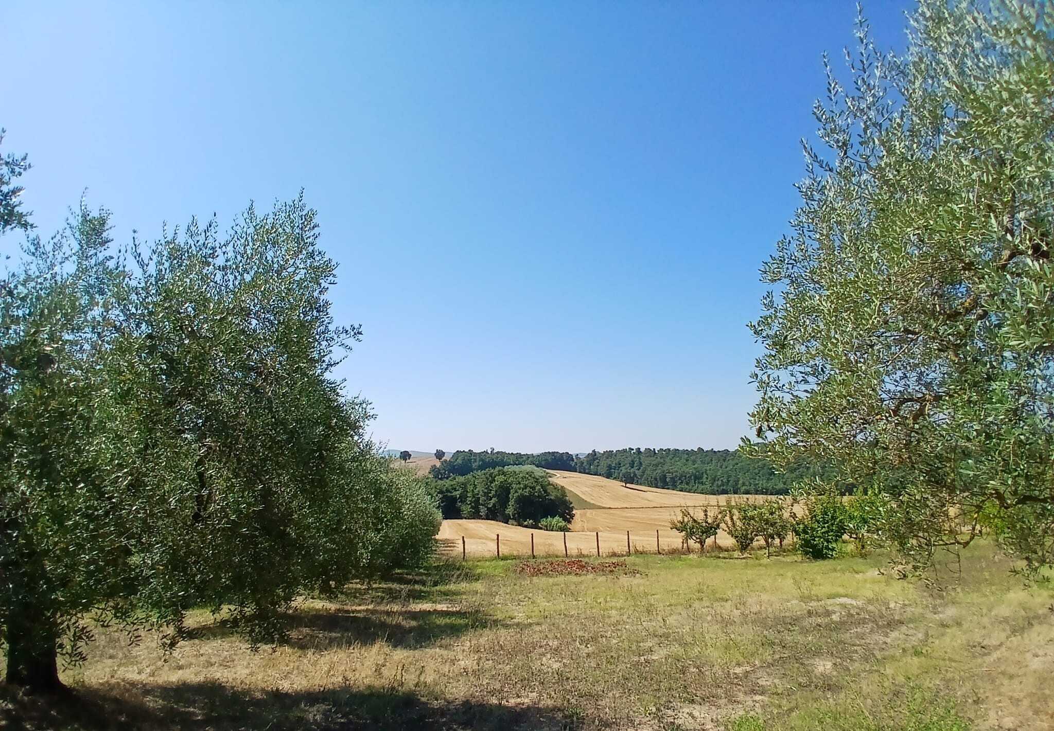  - foto 14