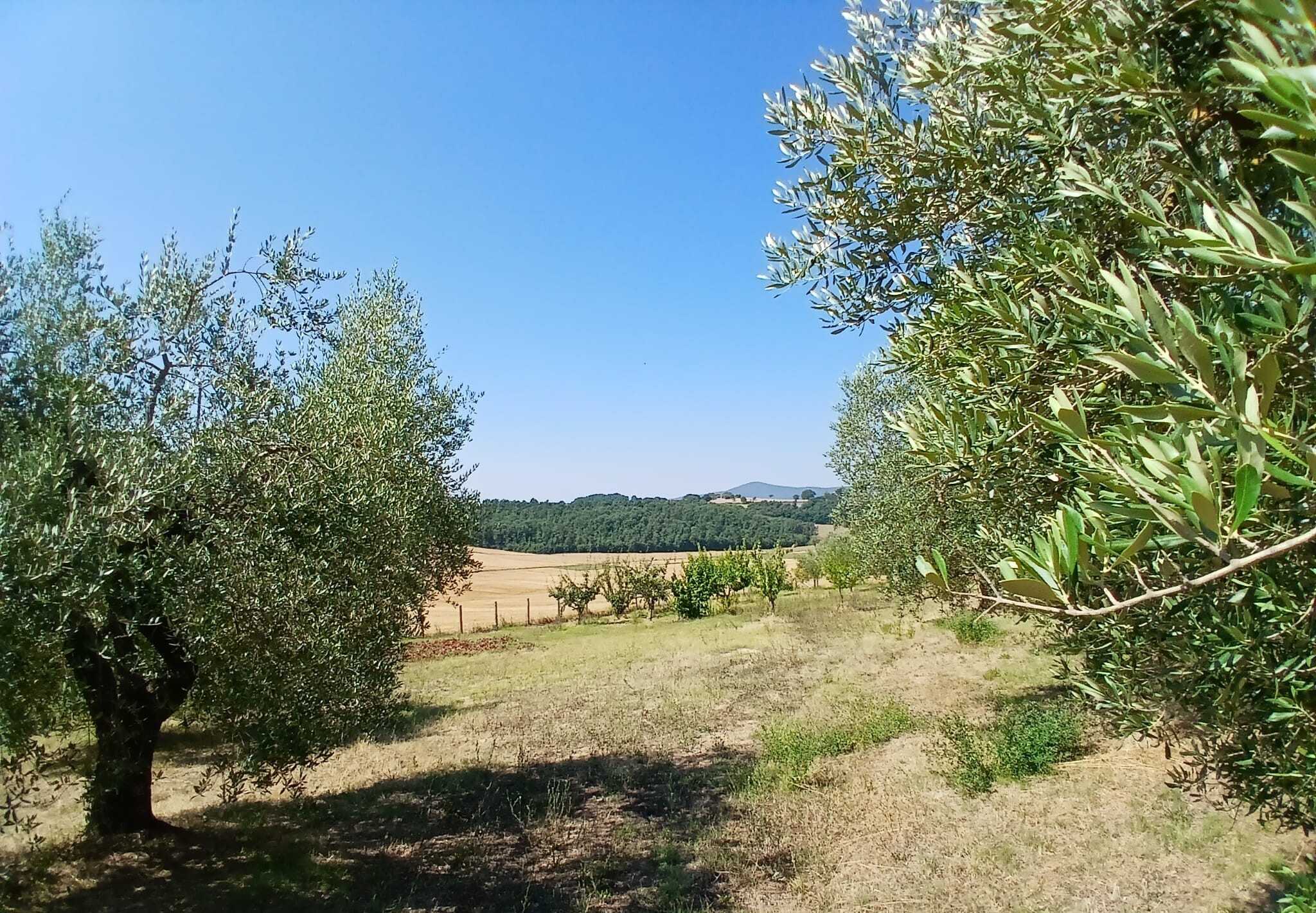  - foto 15