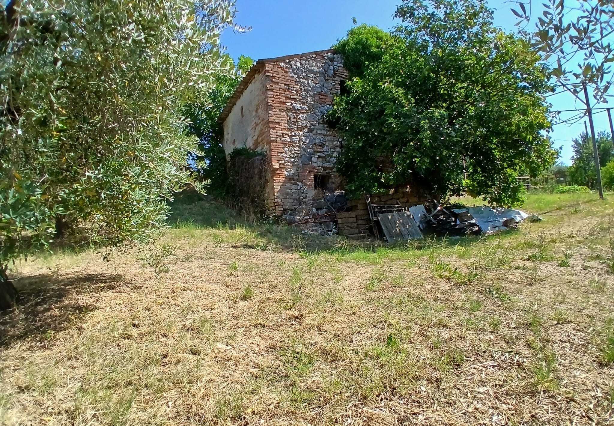  - foto 16