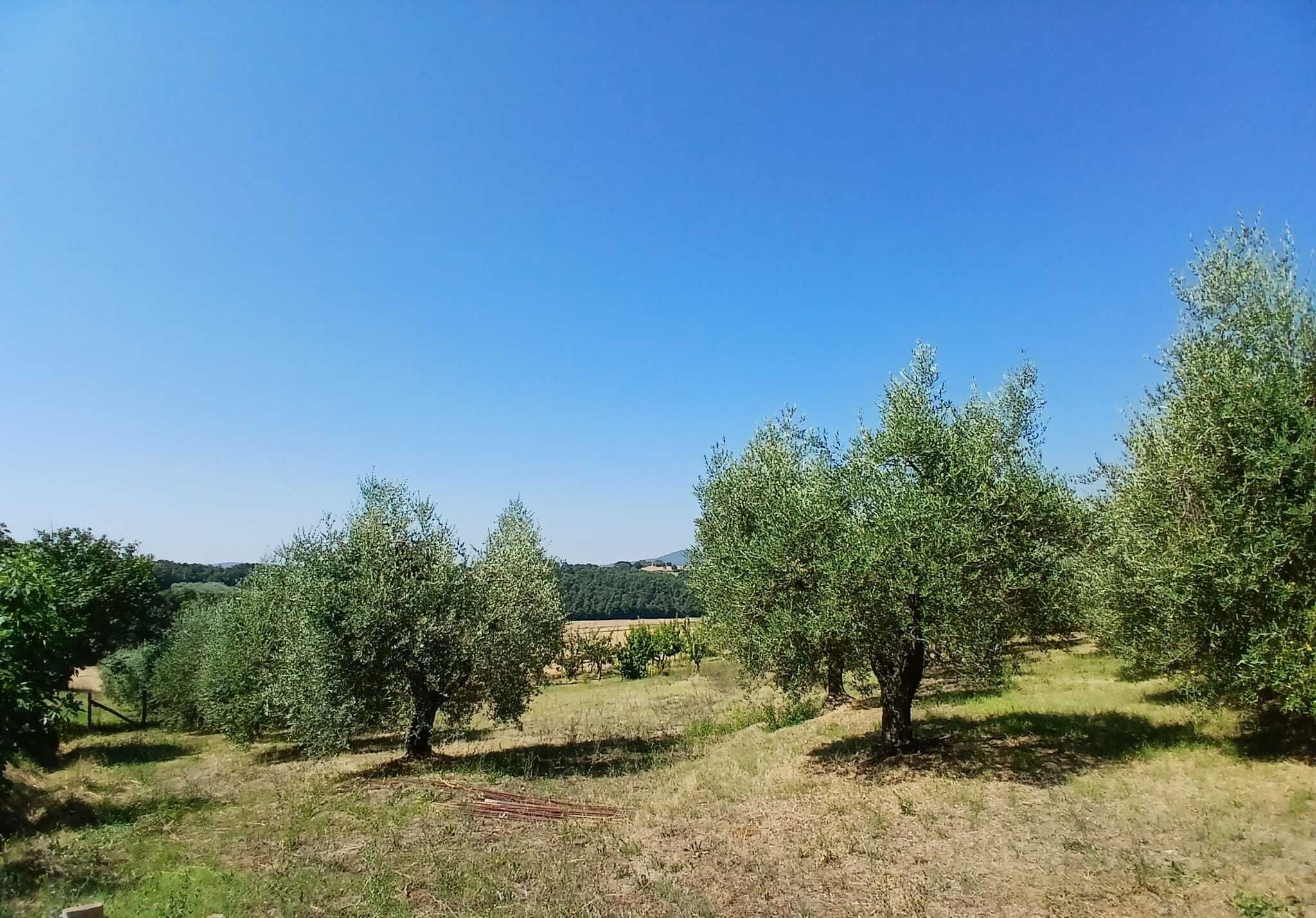  - foto 2