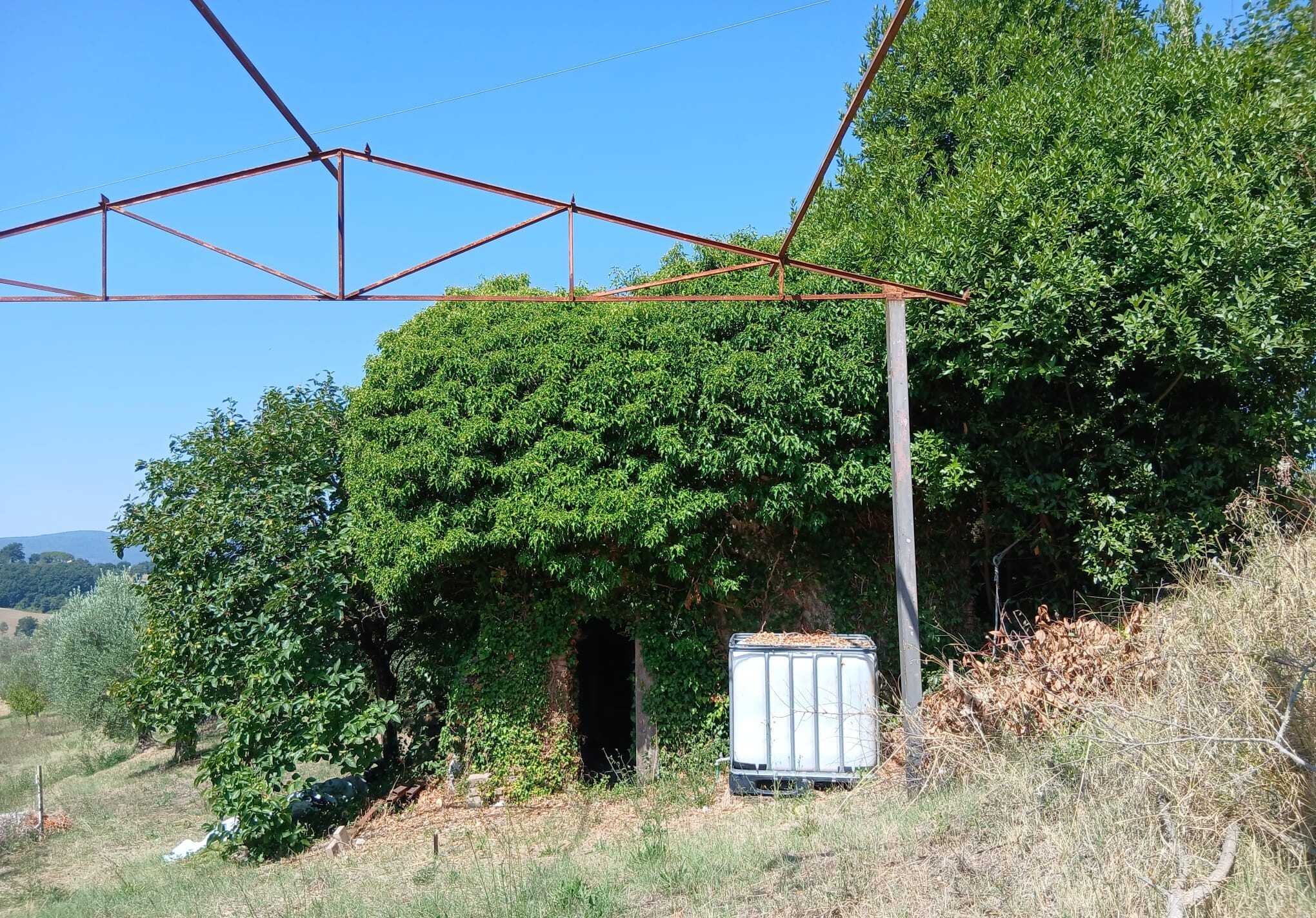  - foto 21