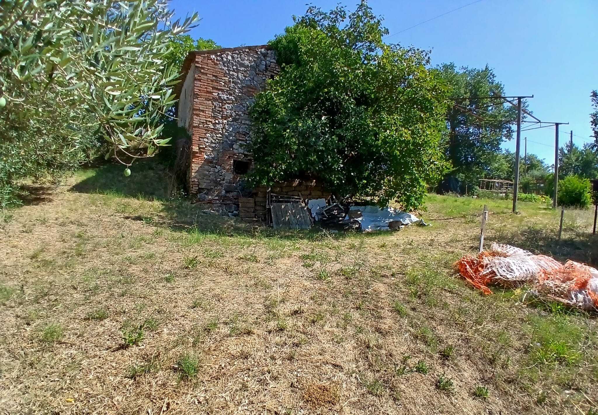  - foto 25