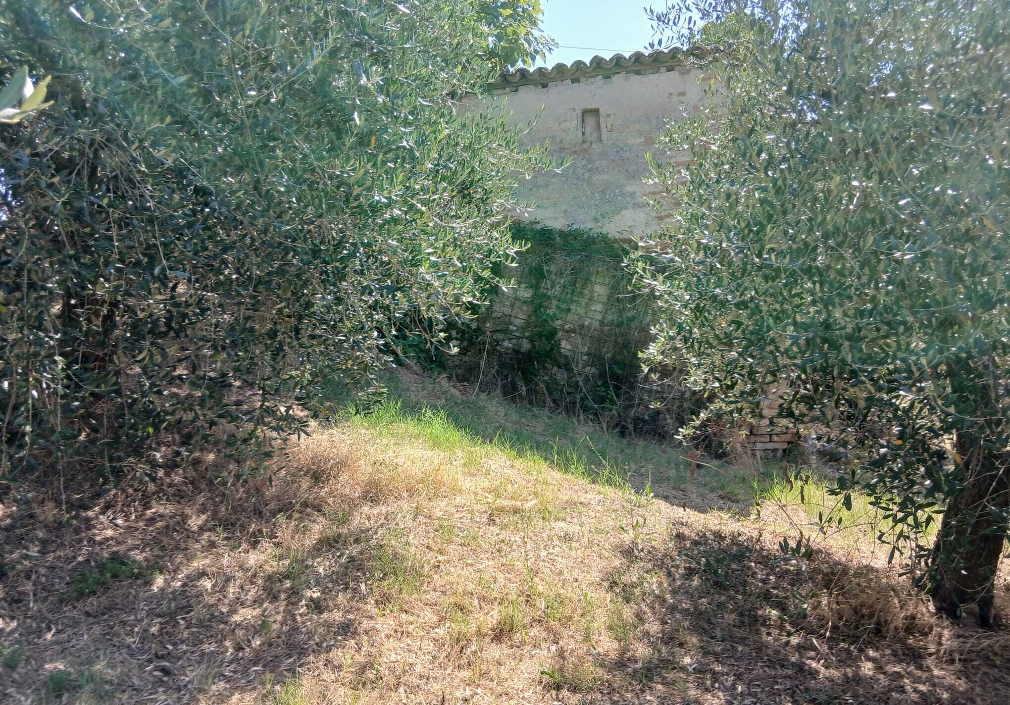  - foto 4