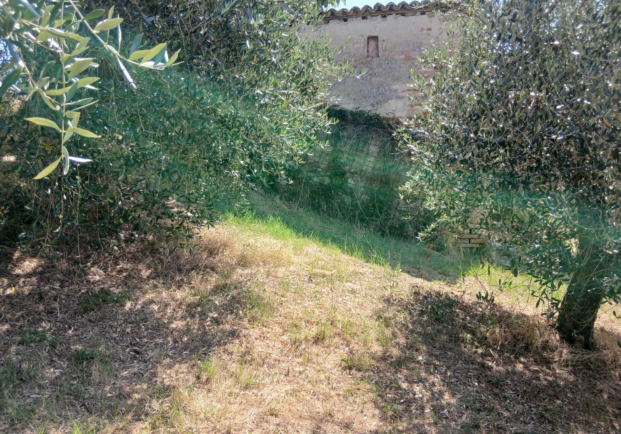  - foto 5