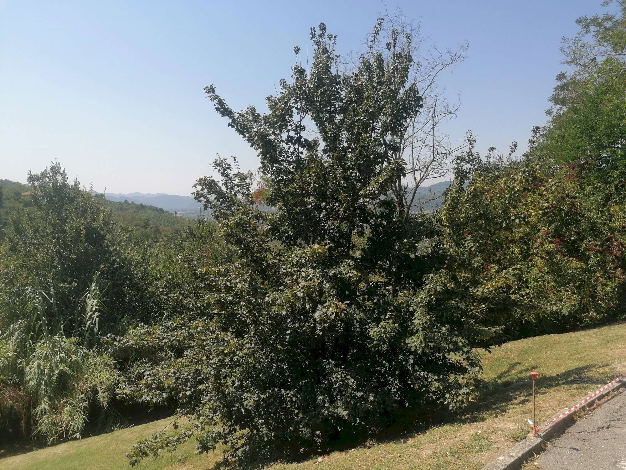  - foto 3